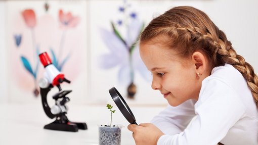 Young student studies small plant Mädchen untersucht eine Pflanze mit einer Lupe
